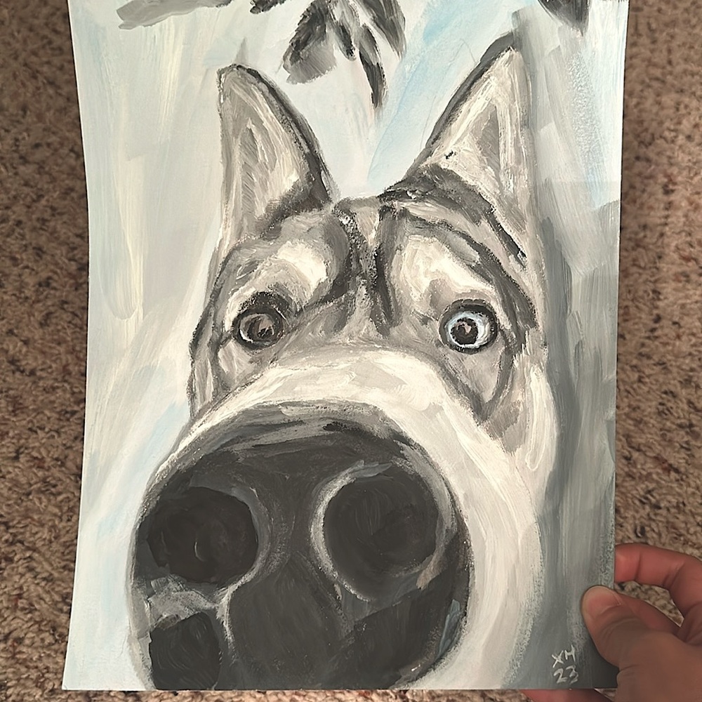 Original Husky Acrylic Painting on paper